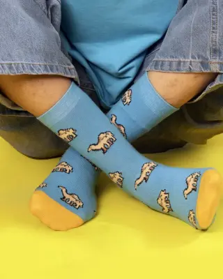 Illustrated socks